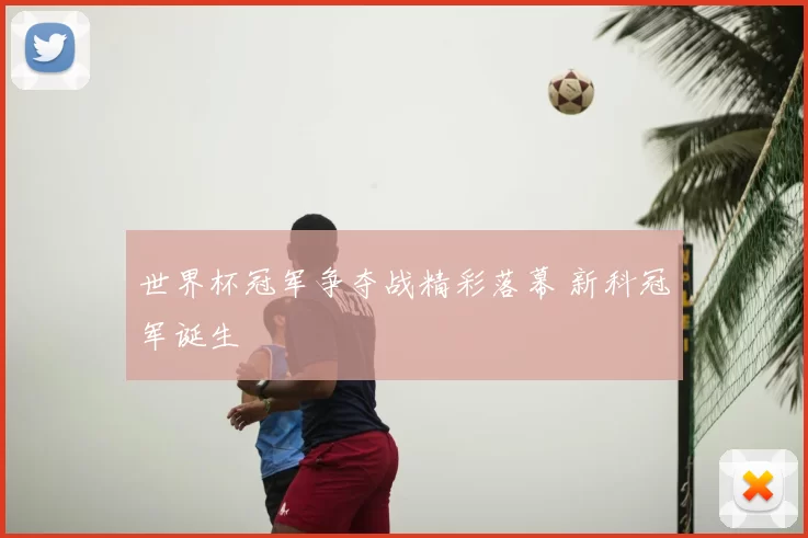 世界杯冠军争夺战精彩落幕 新科冠军诞生