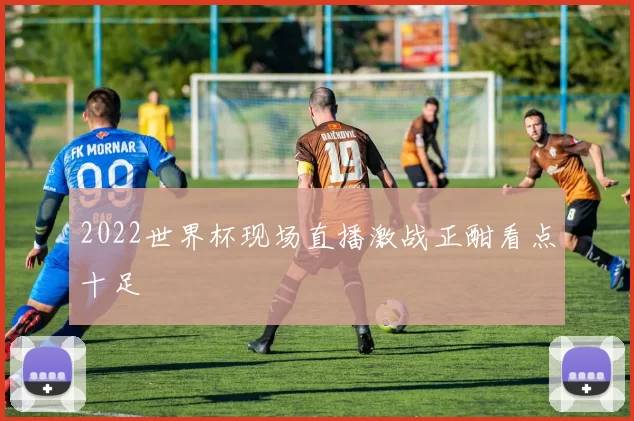2022世界杯现场直播激战正酣看点十足