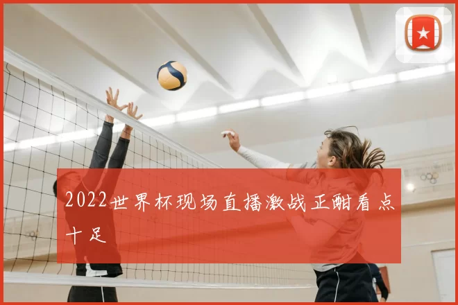 2022世界杯现场直播激战正酣看点十足