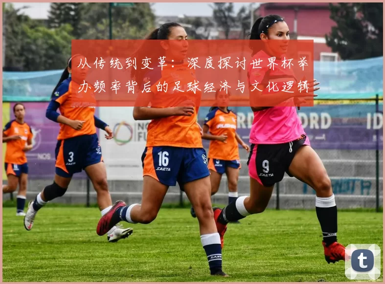 从传统到变革：深度探讨世界杯举办频率背后的足球经济与文化逻辑