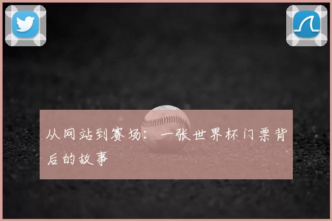从网站到赛场：一张世界杯门票背后的故事