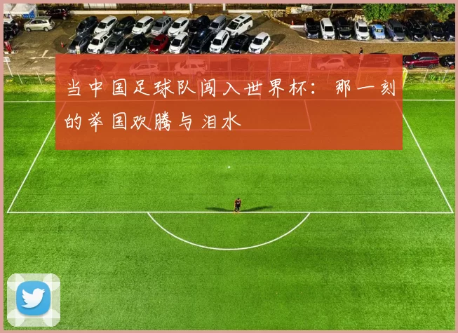 当中国足球队闯入世界杯：那一刻的举国欢腾与泪水