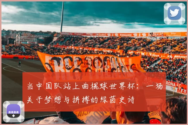 当中国队站上曲棍球世界杯：一场关于梦想与拼搏的绿茵史诗