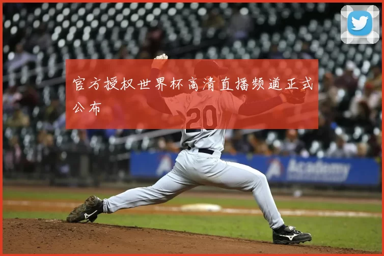 官方授权世界杯高清直播频道正式公布