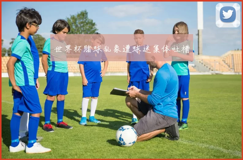 世界杯赌球乱象遭球迷集体吐槽