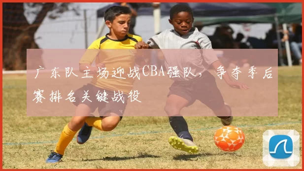 广东队主场迎战CBA强队,争夺季后赛排名关键战役