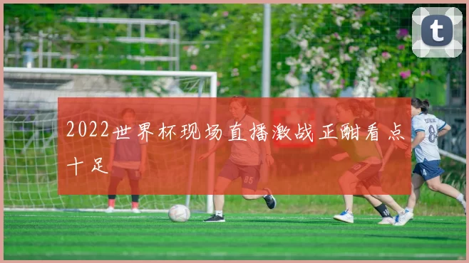 2022世界杯现场直播激战正酣看点十足