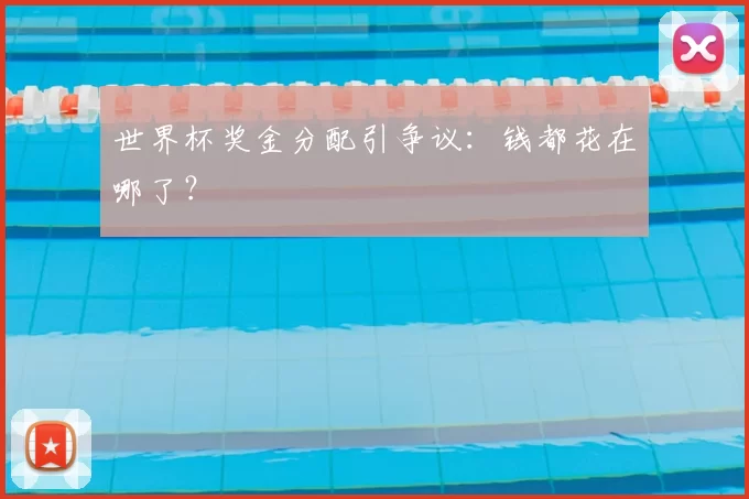 世界杯奖金分配引争议:钱都花在哪了?