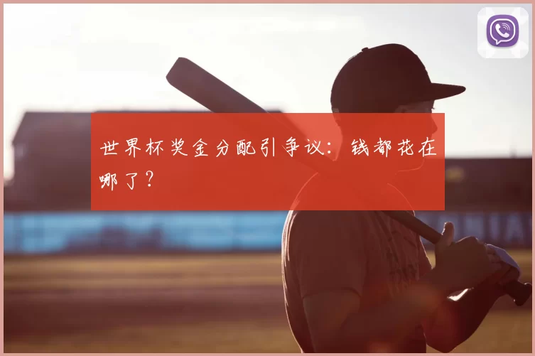 世界杯奖金分配引争议：钱都花在哪了？