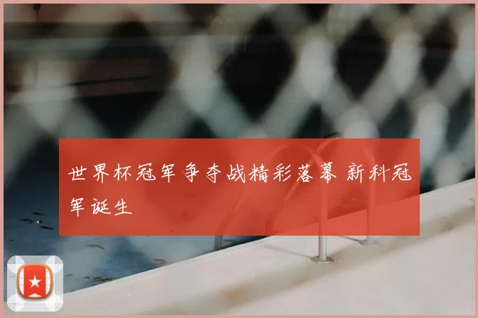世界杯冠军争夺战精彩落幕 新科冠军诞生