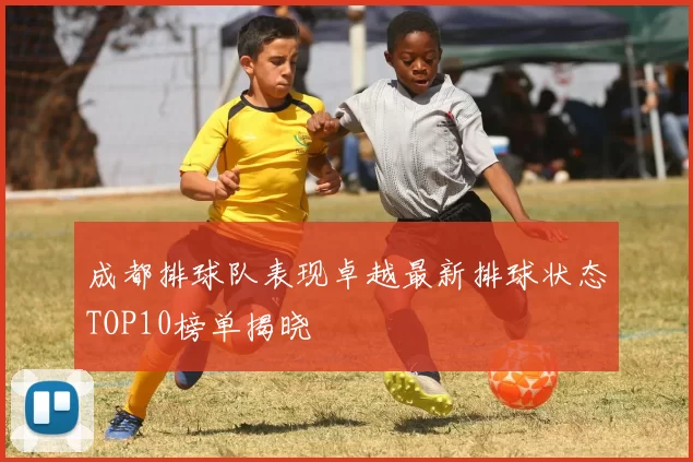 成都排球队表现卓越最新排球状态TOP10榜单揭晓