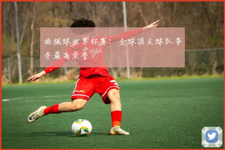 曲棍球世界杯赛:全球顶尖球队争夺最高荣誉